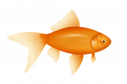 Golden Fish Images Clipart | Bestpicture1.org