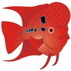 Clipart - Red Goldfish - Clip Art Library