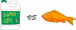 Aquaponics Vs. Hydroponics: Which is Better? - Upstart University