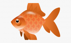 Goldfish Clipart Blank Fish - Fish Clipart No Background ...