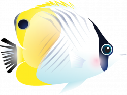 Free Image on Pixabay - Fish, Tropical Fish, Sea | Tropical fish and ...