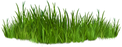 Clip Art Images Of Grasses 7 Png - The First Tee of Idaho