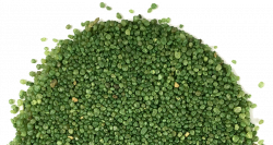 Artificial Grass Products – Bella Turf