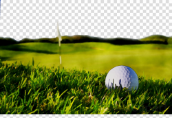 Golf Ball clipart - Golf, Nature, Grass, transparent clip art