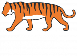 Chiropractic Care in Columbia, MO - Tiger Family Chiropractic