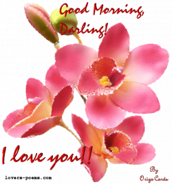 love you good morning love animation clipart | Find, Make & Share ...
