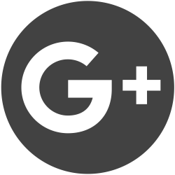File:Icon Google+.svg - Wikimedia Commons