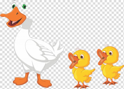 Duck Drawing Cartoon Goose, duck transparent background PNG ...