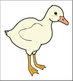 Clip Art: Baby Animals: Goose Gosling Color 1 I abcteach.com ...