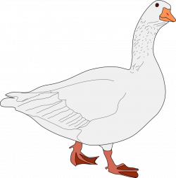 Warning goose clipart - Clipground