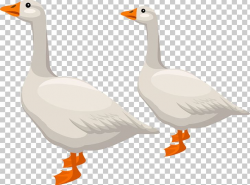 Duck Domestic Goose American Pekin PNG, Clipart, Animals ...