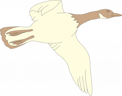 Goose Flying Bird White Brown transparent image | Goose | Pinterest ...