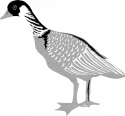 Grayscale Goose Clip Art at Clker.com - vector clip art online ...