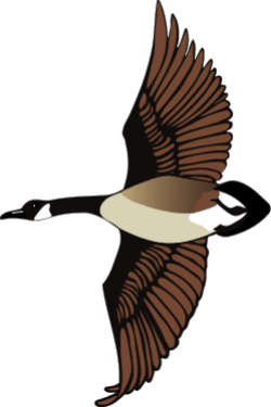 Free Geese Cliparts, Download Free Clip Art, Free Clip Art ...