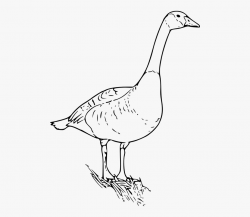 Goose Clipart Gansa - Canada Goose Clip Art, Cliparts ...