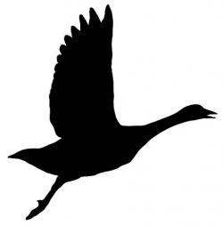 goose silhouette - Google Search | Goose | Silhouette clip ...