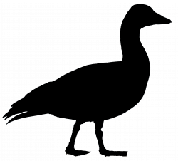 Goose Silhouette at GetDrawings.com | Free for personal use Goose ...
