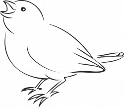 House Sparrow Bird Drawing Clip art - Birds line 1920*1674 ...