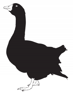 File:Goose silhouette 02.svg - Wikimedia Commons