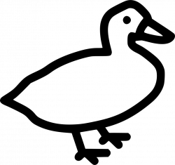 Goose Fowl Bird Poultry Svg Png Icon Free Download (#448113 ...