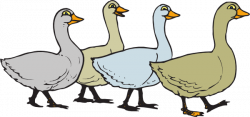 Geese Walking In A Line Clip Art at Clker.com - vector clip ...