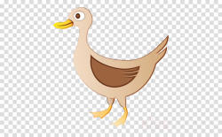bird beak water bird duck goose clipart - Bird, Beak, Water ...