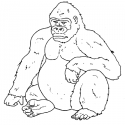 Silverback Gorilla Drawing at GetDrawings.com | Free for personal ...