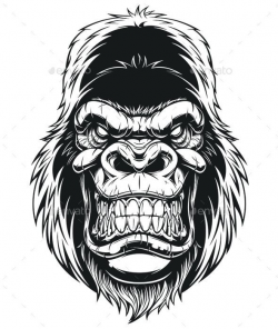 Vector illustration, ferocious gorilla head on white ...