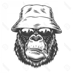 Top Gorilla Head Clip Art Drawing » Free Vector Art, Images ...