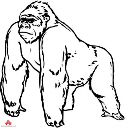 Gorilla Clipart Black And White | Free download best Gorilla ...