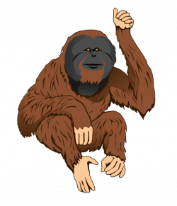 Orangutan clipart | Nice clip art