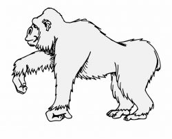 Gorilla Clipart Traceable - Illustration Free PNG Images ...