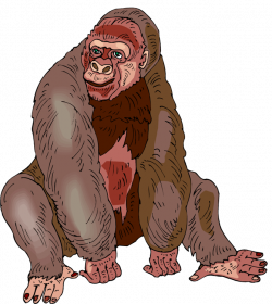 Sitting Gorilla Cliparts Free collection | Download and share ...