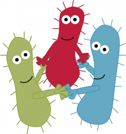 How Bacteria Communicate. | Learning Critical Care Medicine