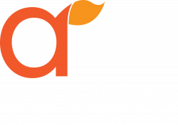 Balanced Assessment — Arts Achieve