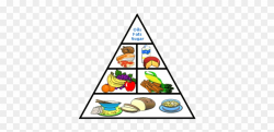Grain Clipart Balanced Diet - 5 Food Groups Table - Free ...