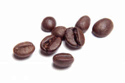 PNG Coffee Beans Transparent Coffee Beans.PNG Images. | PlusPNG