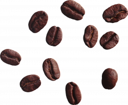 Coffee beans PNG images free download