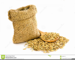 Sack Of Grain Clipart | Free Images at Clker.com - vector ...
