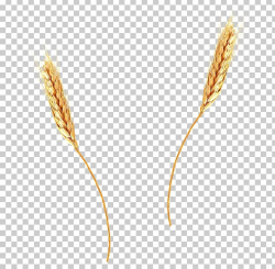 Wheat Grain PNG, Clipart, Agriculture, Barley, Cereal ...
