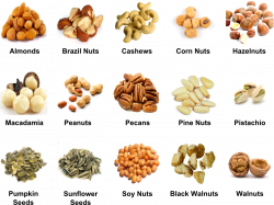 Pictures and Names of Nuts | Nuts, Beans and Seeds | Places to Visit ...