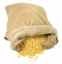 Bag of Maize PNG Image - PurePNG | Free transparent CC0 PNG Image ...