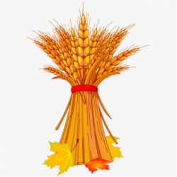 Grain Harvest Clipart Clipground - Fall Harvest Clip Art ...