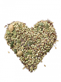 Grain Forward – Sprouted Grains & Super Seeds