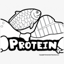 Free Protein Clipart Cliparts, Silhouettes, Cartoons Free ...