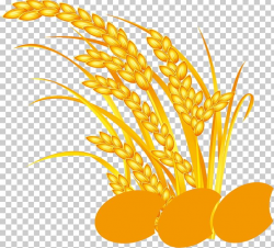Download for free 10 PNG Grains clipart cereal grain Images ...