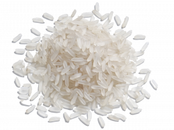 Rice HD PNG Transparent Rice HD.PNG Images. | PlusPNG