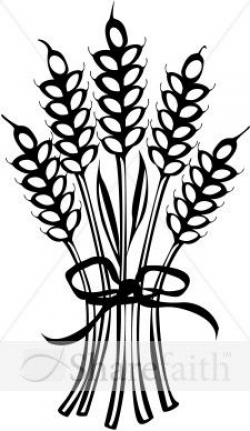Wheat Clipart | Free download best Wheat Clipart on ...