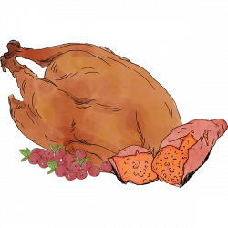 Grain Free Turkey, Sweet Potato & Cranberry Adult Dog Food | CaspianPets