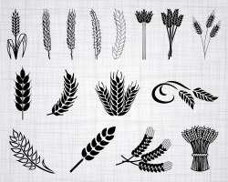 Wheat SVG Bundle, Wheat SVG, Grain Svg, Wheat Clipart, Wheat Cut Files For  Silhouette, Wheat Files for Cricut, Vector, Svg, Dxf, Png, Design